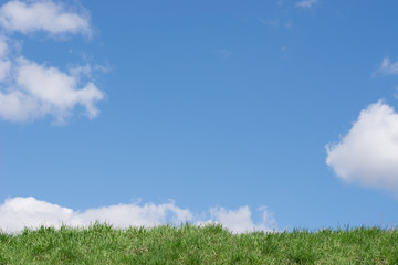 Fototapeta na wymiar blue cloudy sky and green grass background copy space
