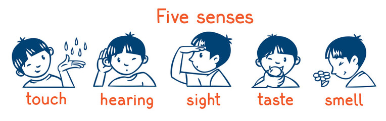 Five senses monochrome icon set. Boys illustration