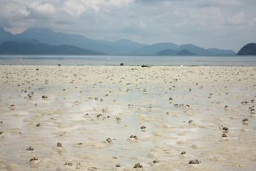  wild beach with white sand and burrows of crabs, mountains on the horizon of the beach. ЕT