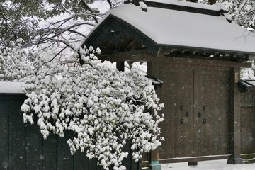 《角館の冬》秋田県仙北市