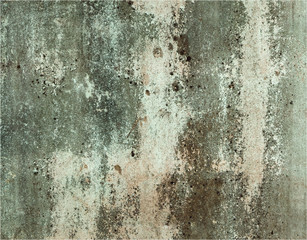 mold on old wall background