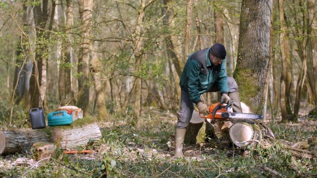 La vie campagnarde avec ses travaux