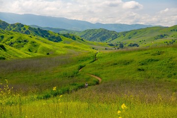 Tourists walking along trail at Chino Hills in spring - 259153109