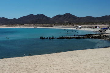 view of the beach Bahia De Los muertos Baja California mexico