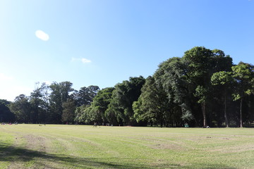 Ibirapuera's Park - 97