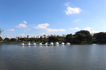 Obraz premium Ibirapuera's Park - 61