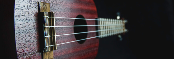 Mahogany ukulele close-up on dark background
