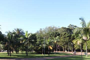 Ibirapuera's Park - 14