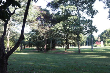 Ibirapuera's Park - 11
