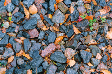 Dried leaves between small rocks. A pile of rocks along the railroad. Rocky railroad embankment.