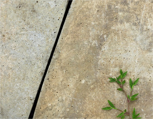 concrete floor texture