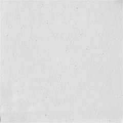 white paper texture