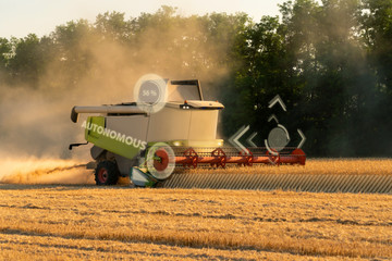 Autonomous harvester on the field. Smart farming concept