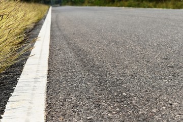 grass beside old and dirty white line on asphalt