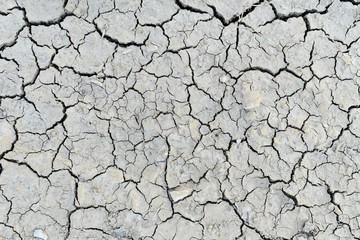 dry soil for background