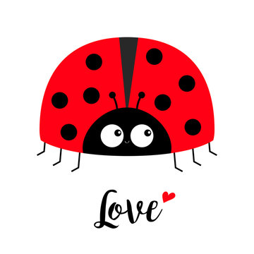 Red lady bug ladybird icon. Love greeting card with heart. Cute cartoon kawaii funny baby character. Happy Valentines Day. Flat design. White background.