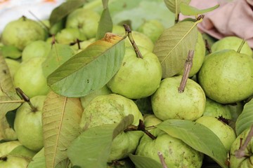 Guava fruit is delicious at street food