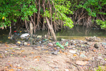 Naklejka na ściany i meble A view of a mangrove full of trash on Itamaraca Island - Pernambuco, Brazil