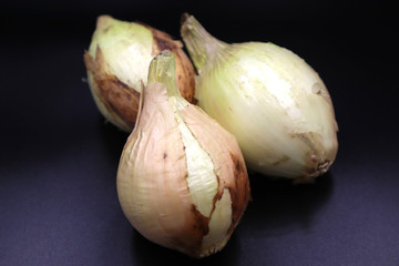 春到来、新たまねぎ