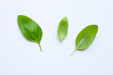 Fresh green basil leaves isolated on white