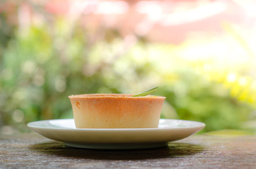 delicious cake  on table in the garden background, break time.