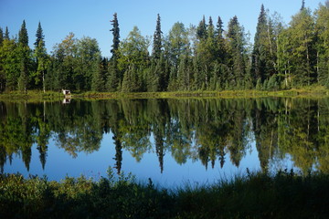 Fototapeta na wymiar Beautiful wild landscape in Alaska reflecting in calm lake