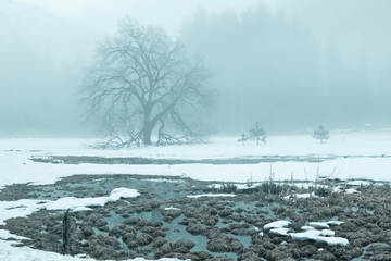 Winter in Yosemite National Park