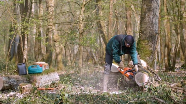 Particulier coupant du bois de chauffage 