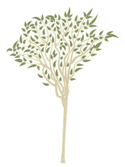 Eucalyptus tree design