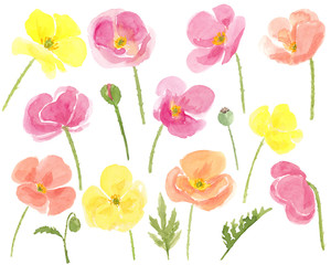 Watercolor hand drawn abstract colorful poppies flowers and leaves set isolated on white background