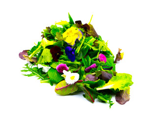 Pflücksalat mit essbaren Blüten Blumen Salatmix