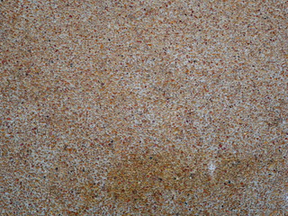 texture of sand concrete wall 