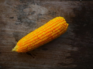 fresh corn on the cob