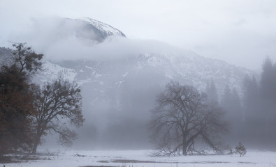 Obraz na płótnie Canvas Winter in Yosemite National Park