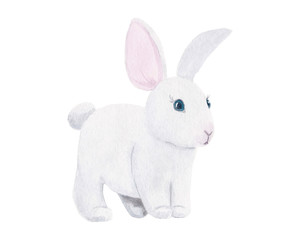 Watercolor hand drawn cute little white rabbit isolated on white background