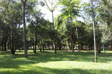 Obraz premium Ibirapuera's Park - 106