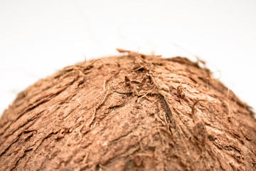 Cocco.