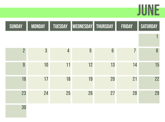 Calendar planner 2019. Monthly planner. June.