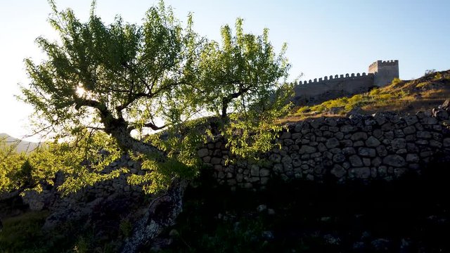 View of Almond trees on Numao Castle. Council of Vila Nova de Foz Coa. Portugal. Douro Region.