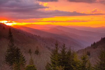 Serene Sunrise Smoky Mountains National Park