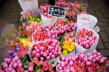 The famous Amsterdam flower market (Bloemenmarkt). Multicolor tulips. The Symbol Of The Netherlands.