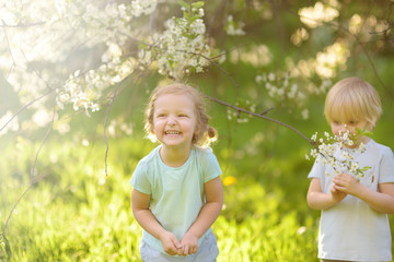 Cute little children playing together in blooming cherry garden.