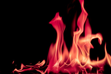 Abstract chemical pink fire flame isolated on black background.
