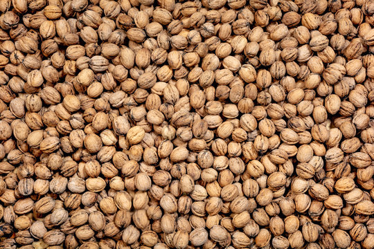 lots of walnuts
