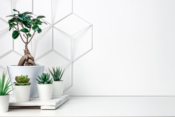White desk at an empty wall with a geometric pattern. Place for text. Copy space. Green succulents,...