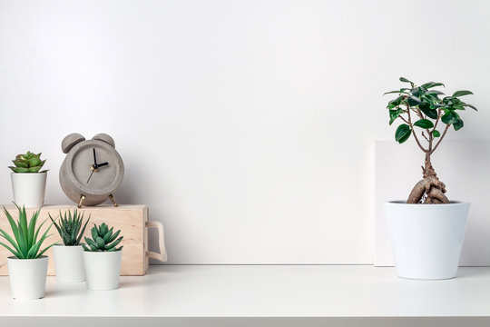 White desk next to an empty wall. Copy space. Green succulents, bonsai, wooden box and concrete clock. Bright composition