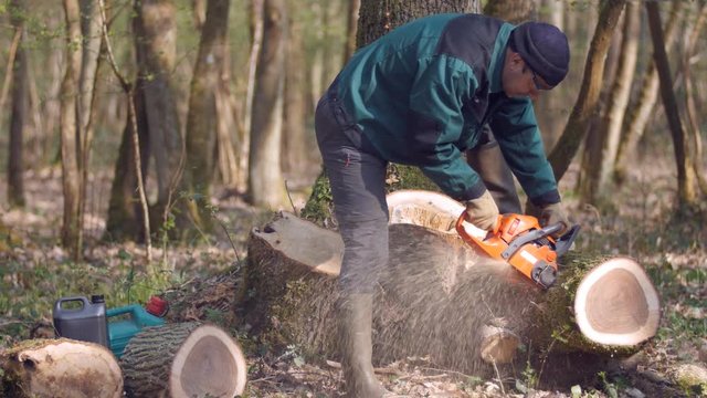 Un bucheron d&eacute;coupe un tronc en rondins