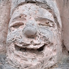 The face of a stone jester. Smiling petrified man. The texture of the pink shell rock. Sculptural detail. Joyful emotional concept.