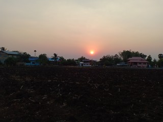 Corn fields after harvest Prepare the soil for planting in the next season10