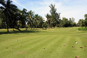Obraz premium golf courses in the seychelles